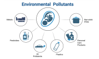 diagram showing that metals, pesticides, air pollutants, plastics, personal care products and non-stick pans with PFAS impact fetus development